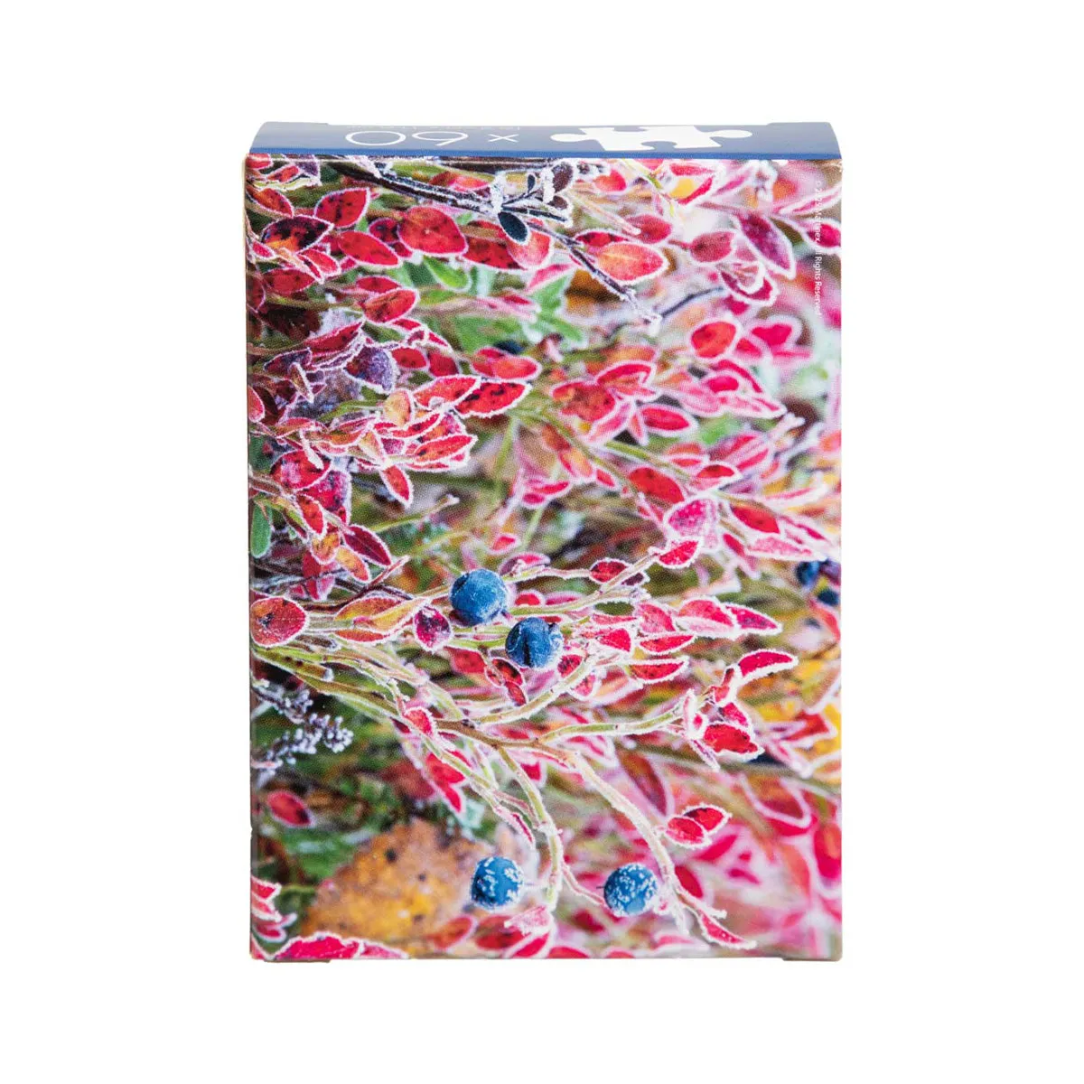 Peliko Minipalapeli 60 pezzi Mustikat mini puzzle mirtilli